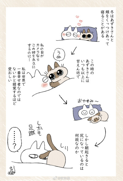 暹罗猫小漫画