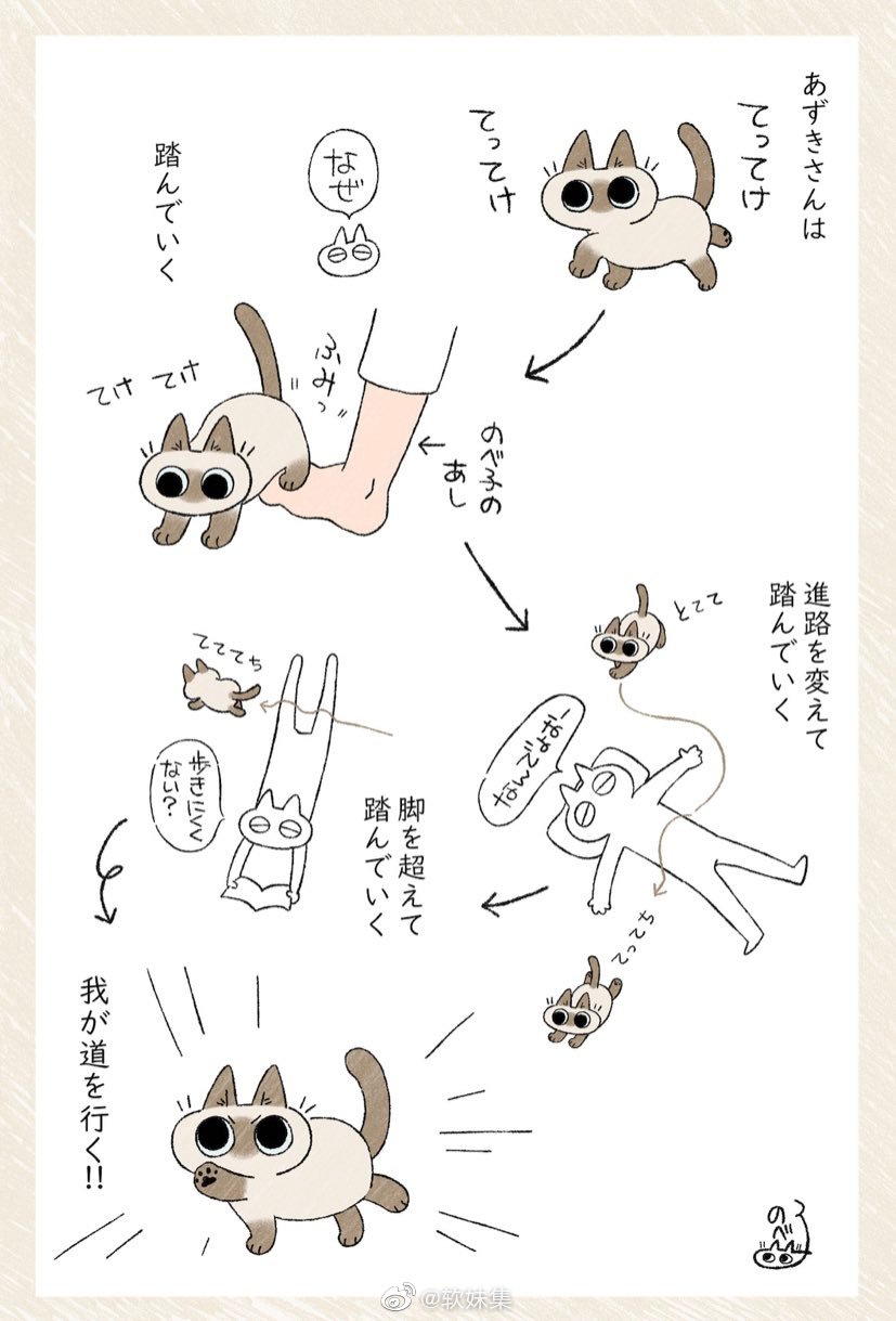 暹罗猫小漫画