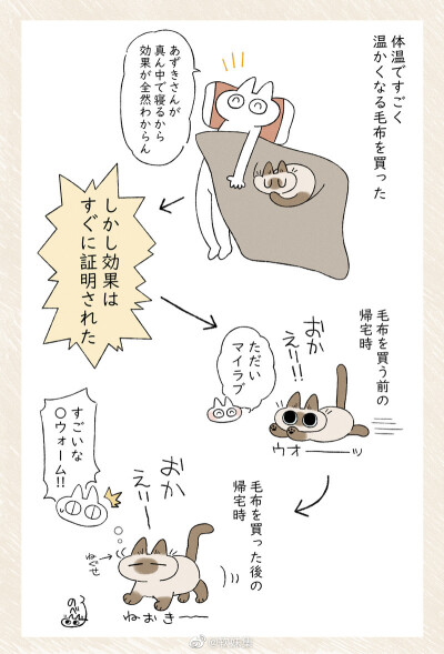 暹罗猫小漫画