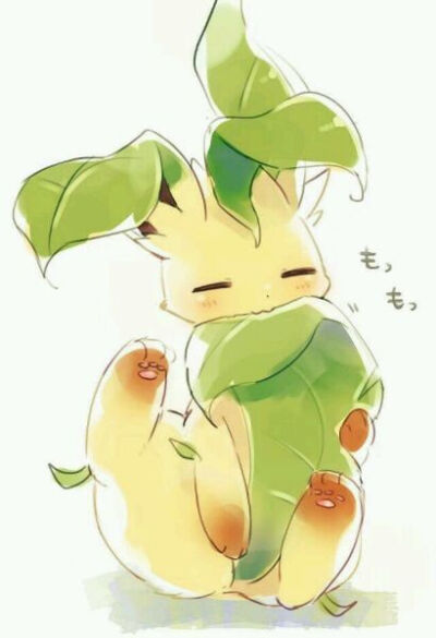 【伊布家族】叶精灵