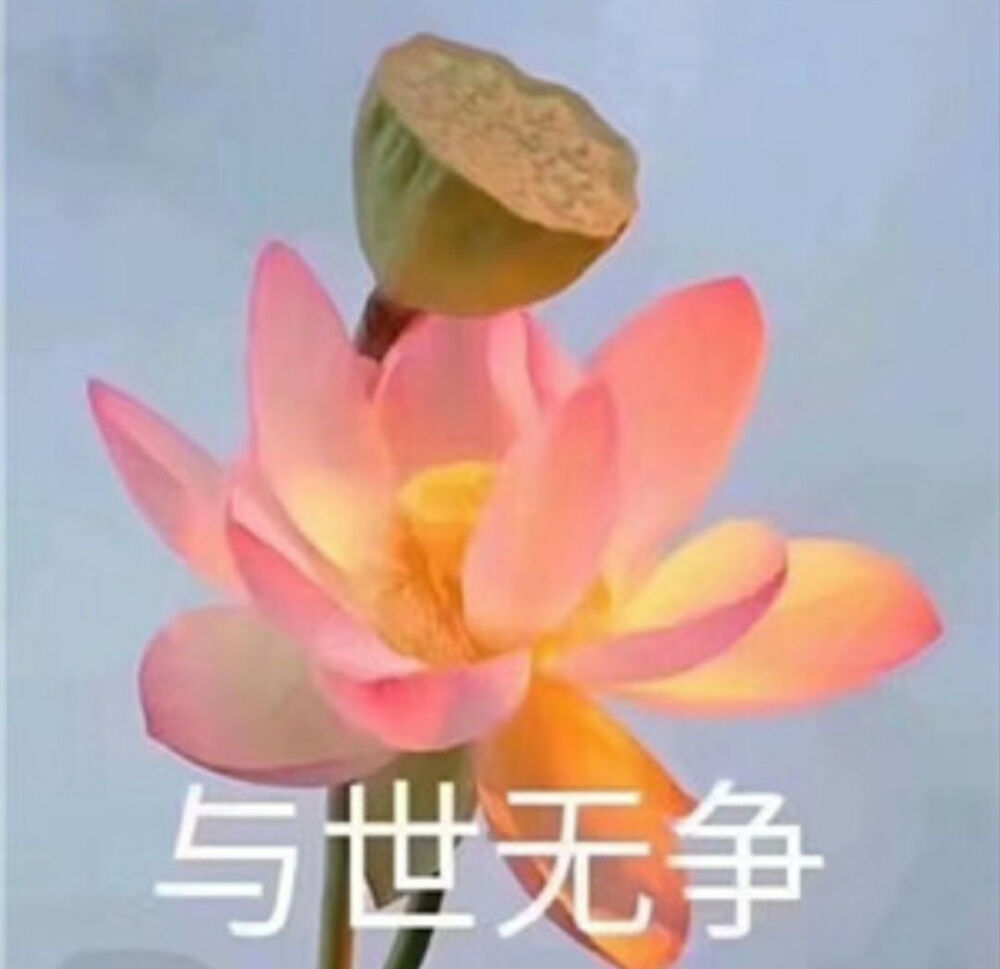 中老年头像