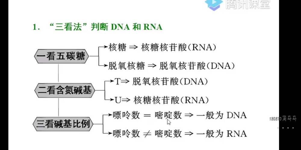 网课截图生物