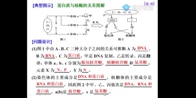 网课截图生物