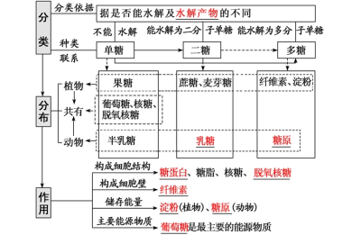 网课截图生物