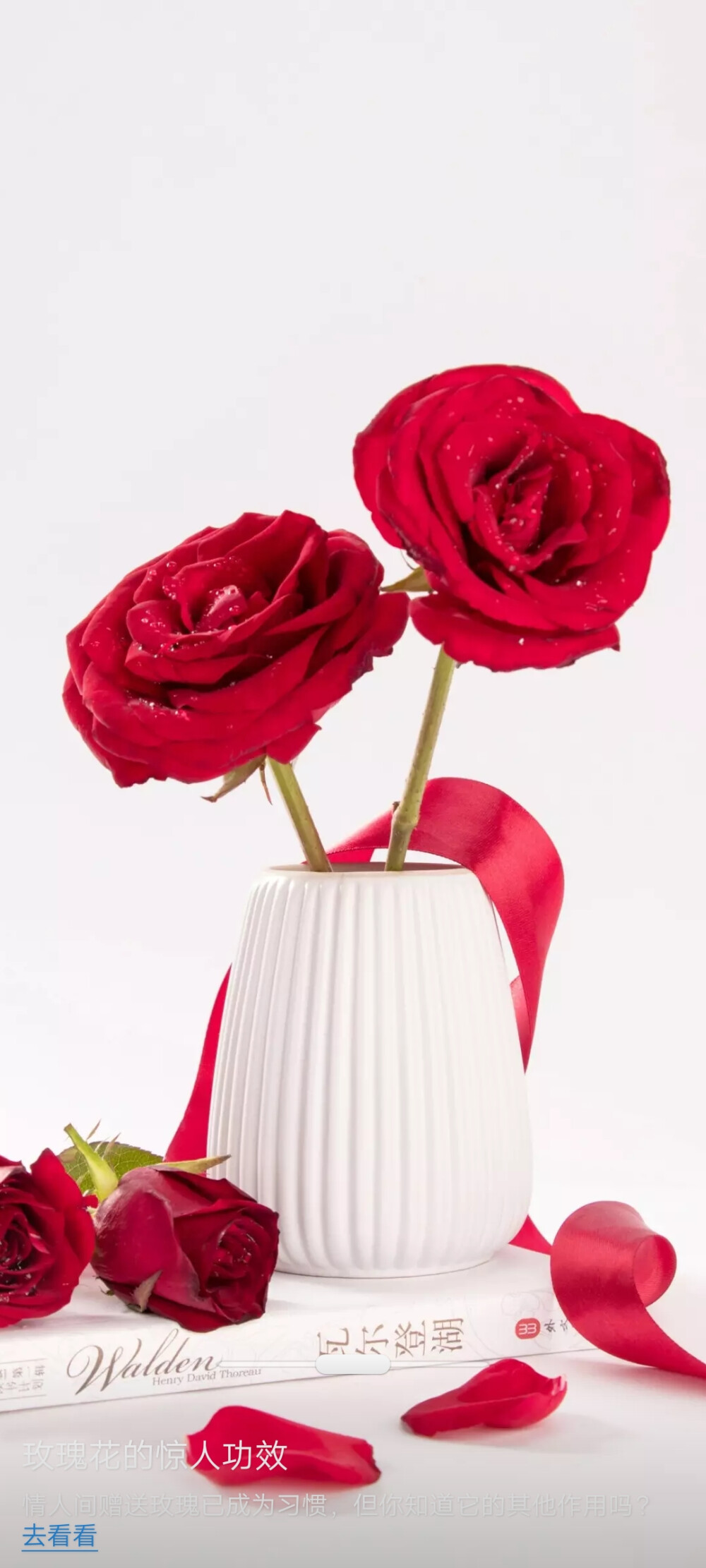 这些都是美丽的哟！