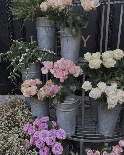 “人间温柔，不虚此行”