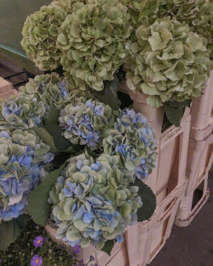 “人间温柔，不虚此行”