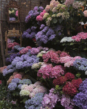 “人间温柔，不虚此行”