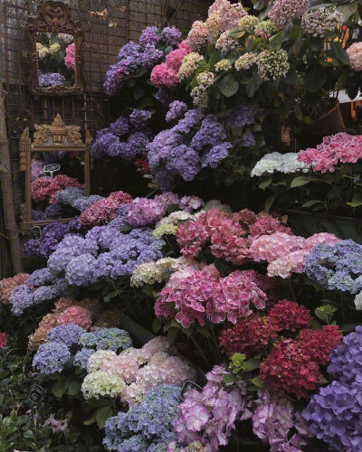 “人间温柔，不虚此行”