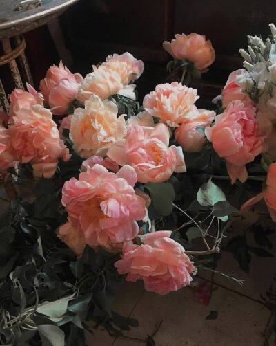 “人间温柔，不虚此行”