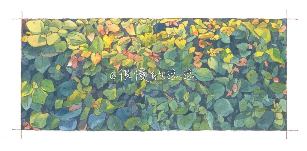 角落，钢笔淡彩，插画手绘