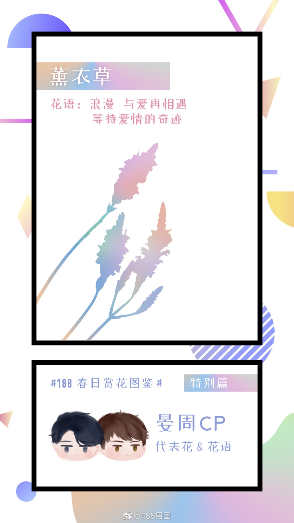 188春日赏花图鉴