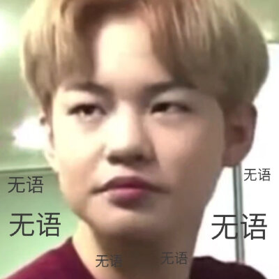 NCT表情包