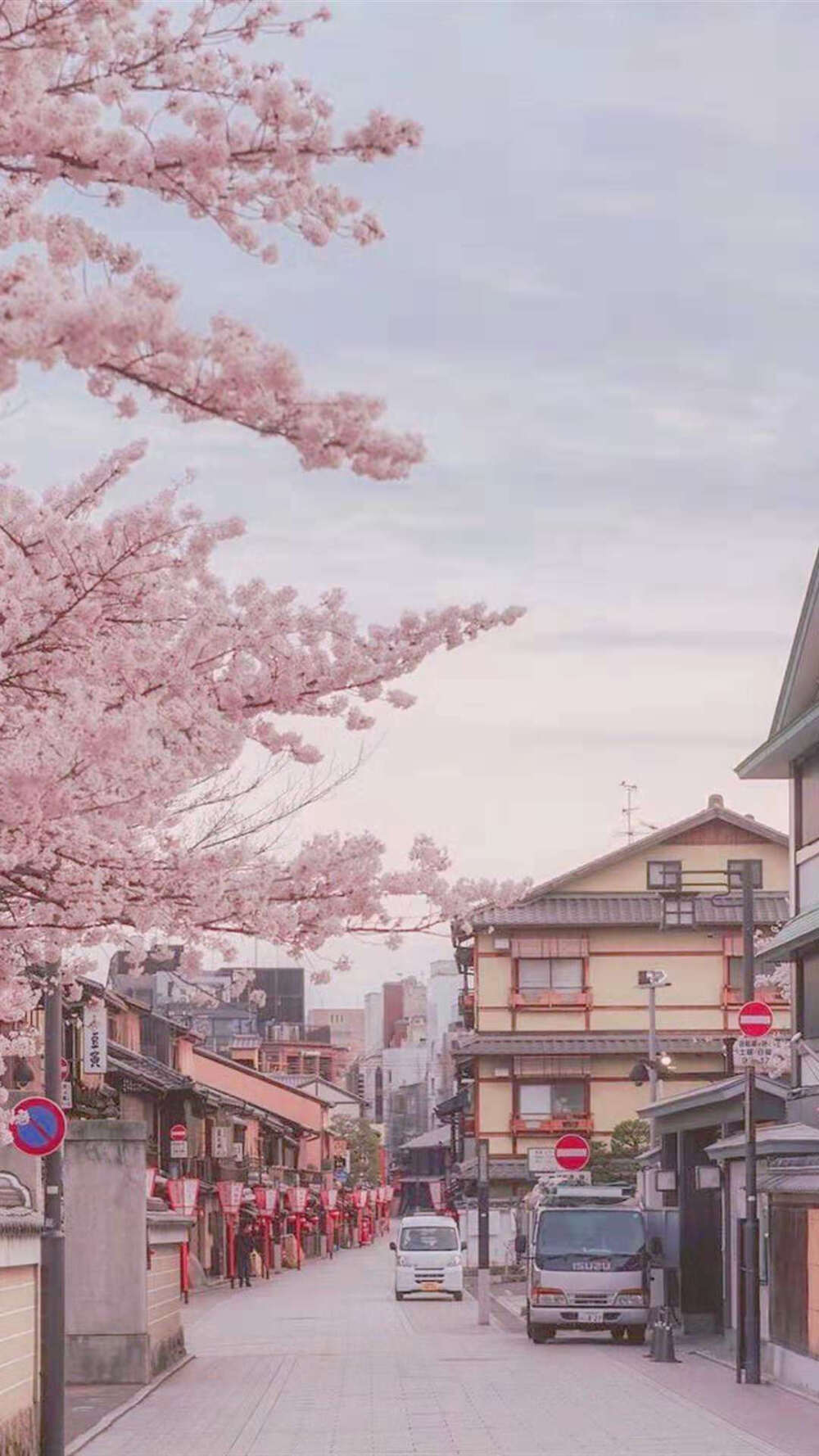 背景 壁纸 风景 日本 