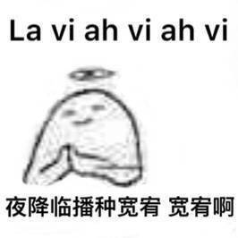 华晨宇表情包