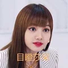 blackpink Lisa 表情包