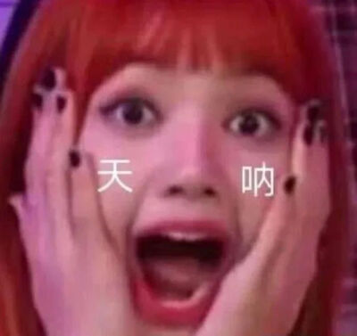 blackpink Lisa 表情包