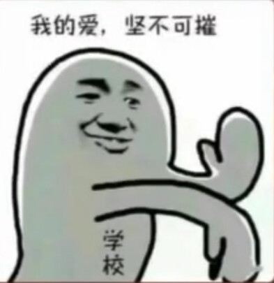 学校对我的爱