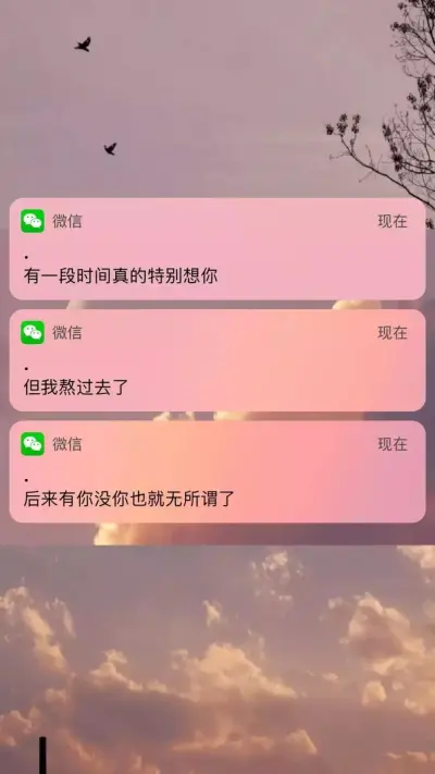 通知壁纸
那种饿了就会给你转账和叫外卖的人，真的比那些空手套白狼的人好太多。
by：moon柚夏