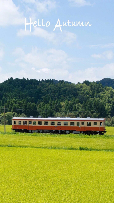 在生和死之间，是孤独的人生旅程。保有一份真爱，就是照耀人生得以温暖的灯。——毕淑敏 ​