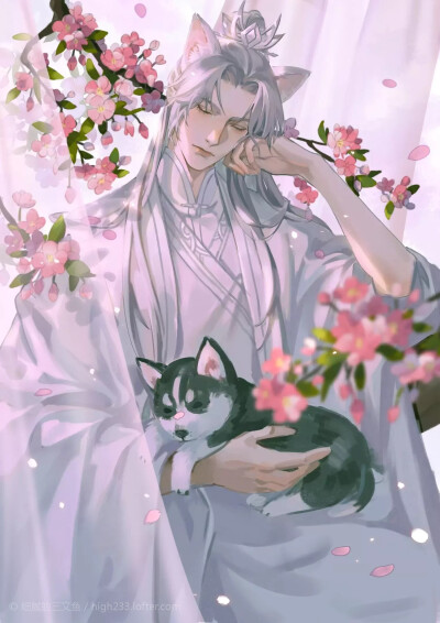 #二哈和他的白猫师尊# 楚晚宁 白猫白发晚宁。如何？ 画师lof：细腻的三文鱼