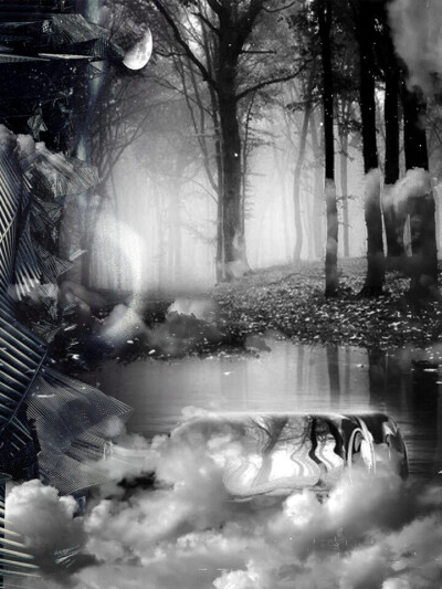 溶图.来自花瓣沈青萝