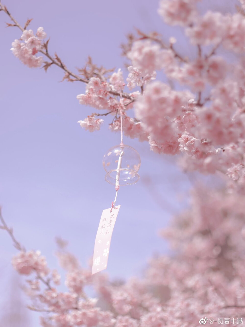 春日壁纸，粉色浪漫，花儿