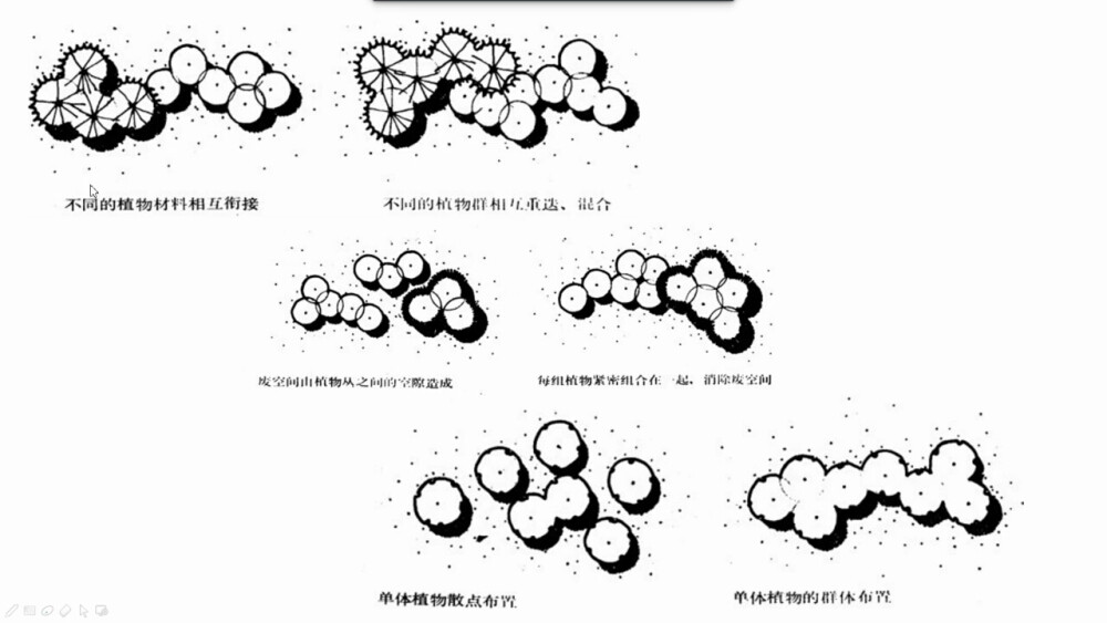 网课学习PPT自截