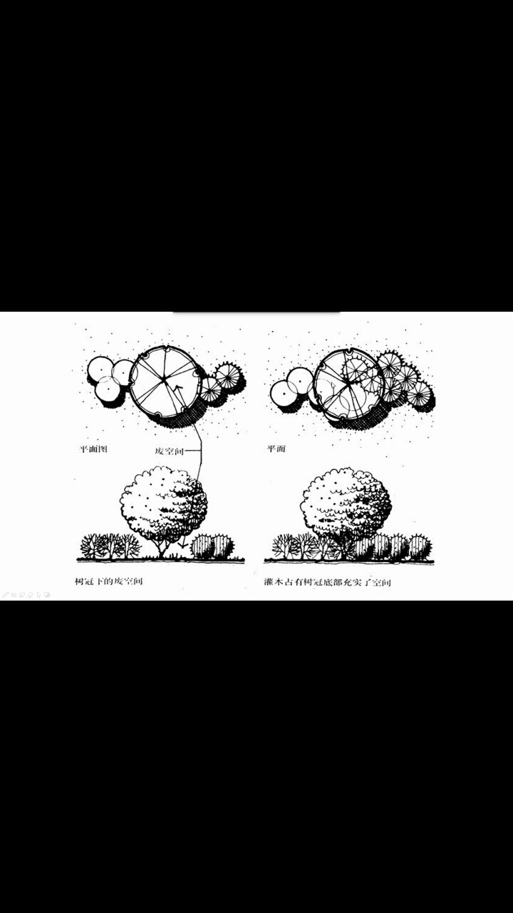 网课学习PPT自截