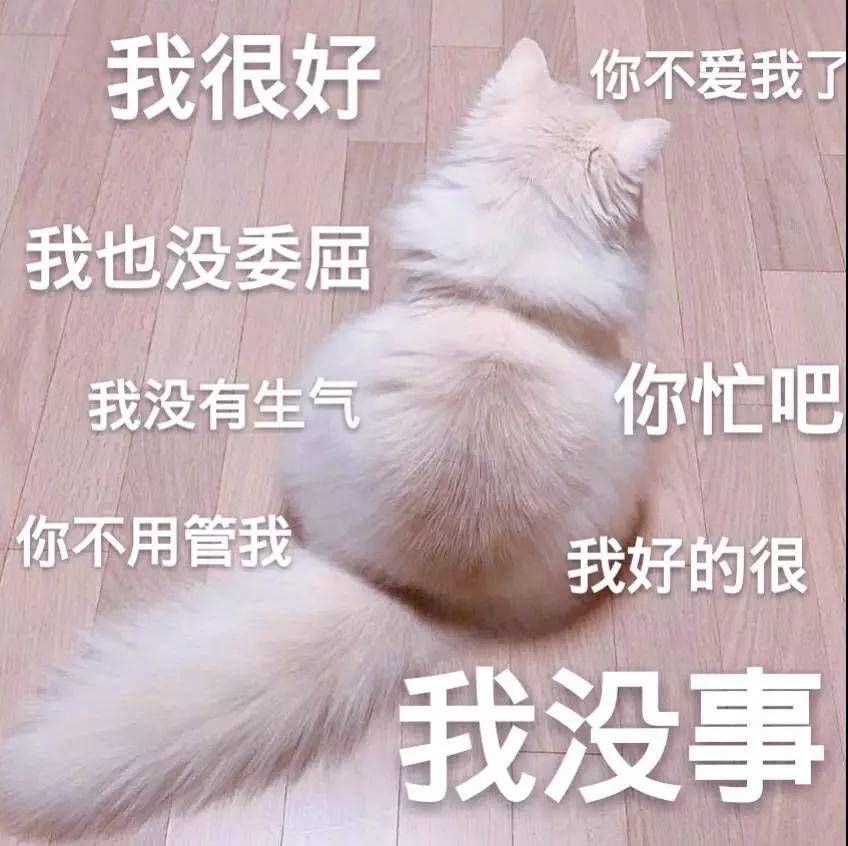 可爱