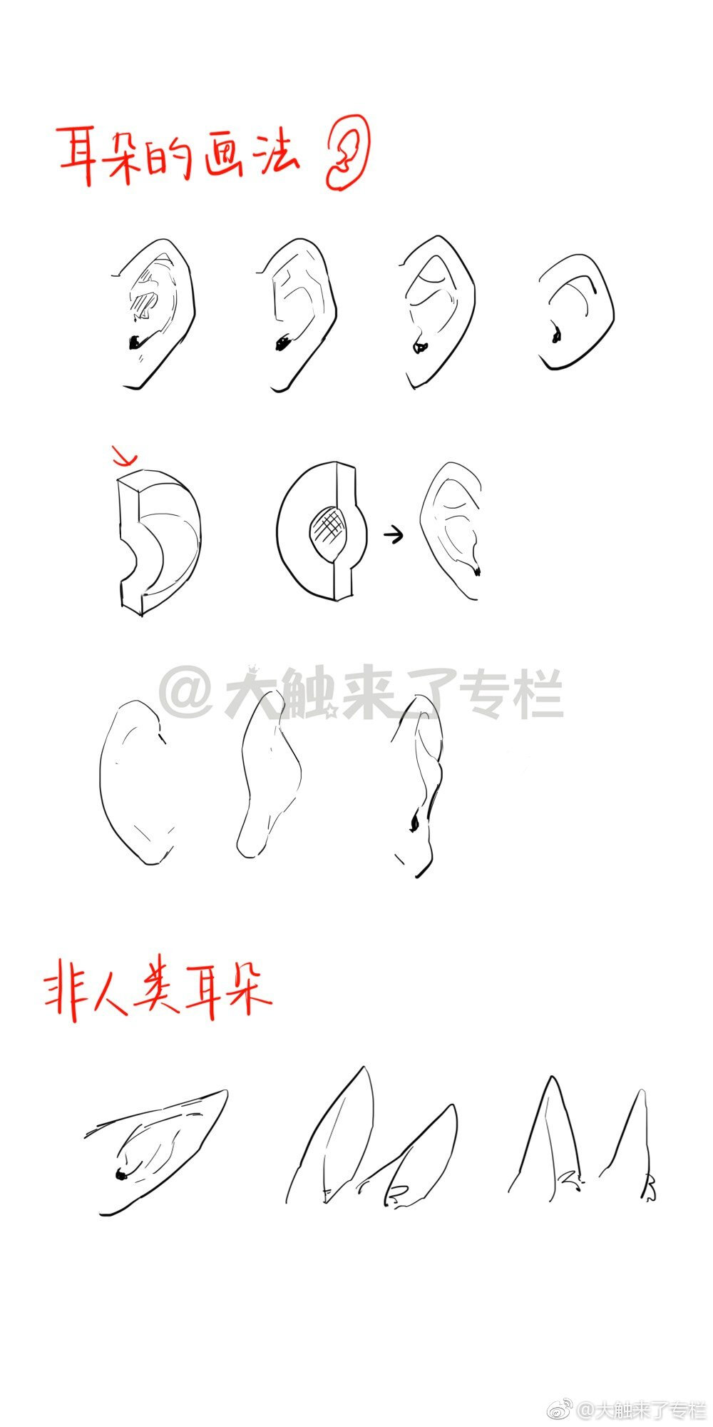 眼睛侧面正面画法教程