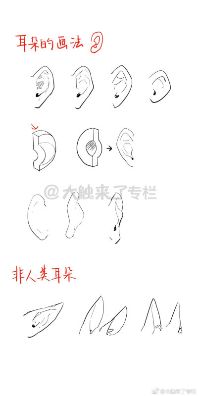 眼睛侧面正面画法教程