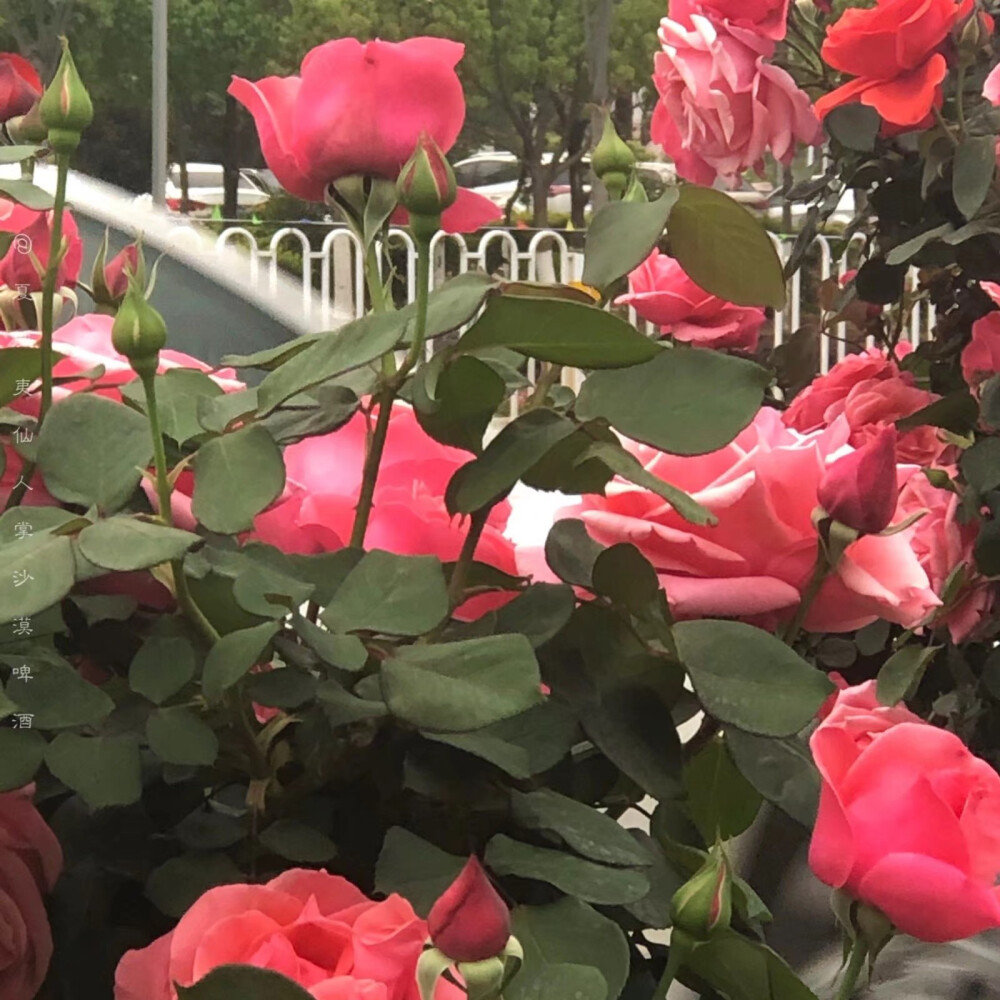 半生都做烂泥
连哭都怕失礼