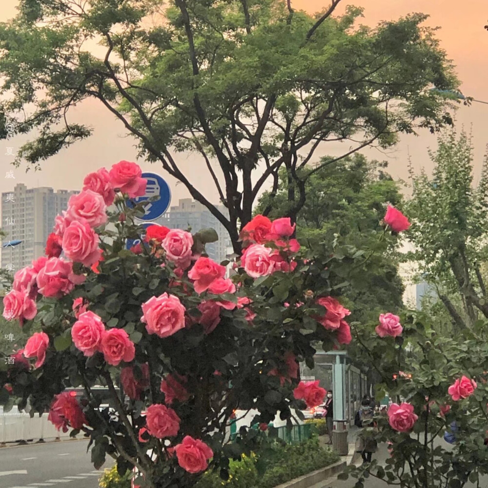 半生都做烂泥
连哭都怕失礼