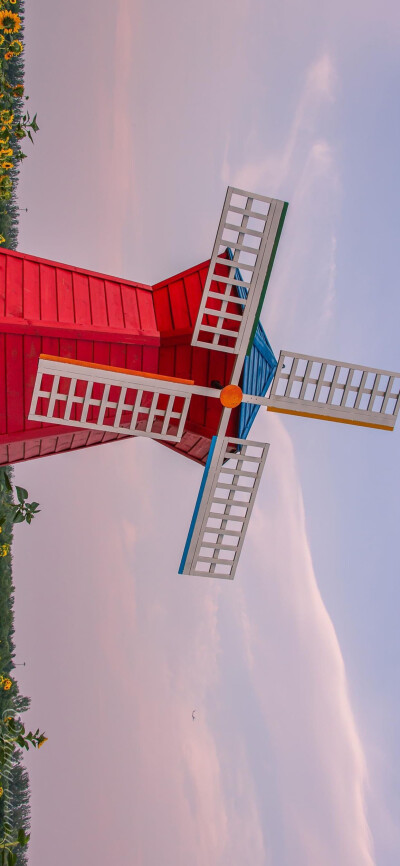 向日葵 锁屏 壁纸 背景