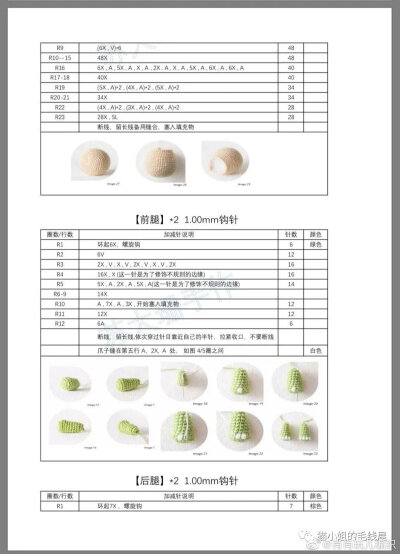 乌龟10