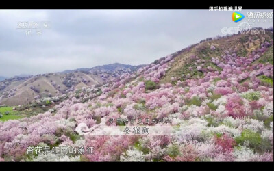 今日份快乐源泉 嘻嘻嘻