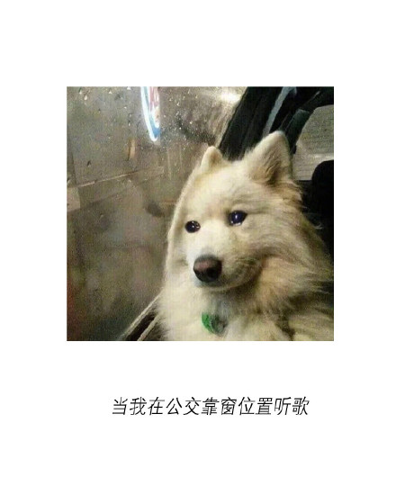 当我在公交靠窗位置听歌