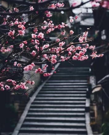 《跨越山海》 ins风壁纸 朋友圈背景