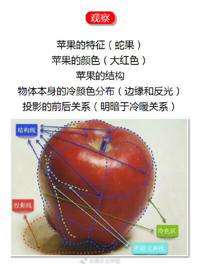 不会画苹果怎么办？
快去看干货分析↓↓↓ ​
via 美术生学堂 ​