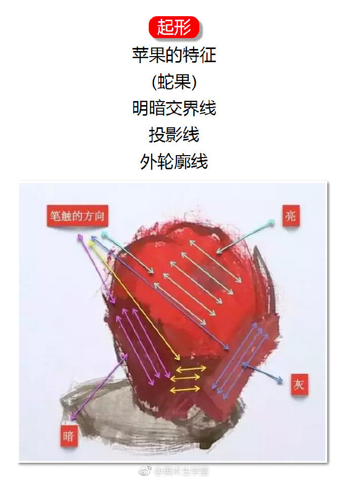 不会画苹果怎么办？
快去看干货分析↓↓↓ ​
via 美术生学堂 ​