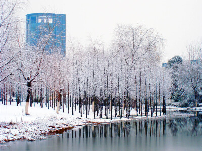 浙江大学.浙大