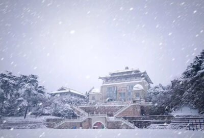 浙江大学.浙大