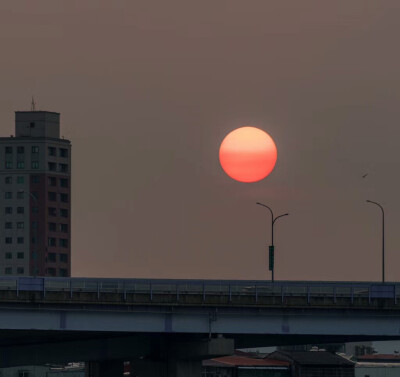 「阿羊」背景图