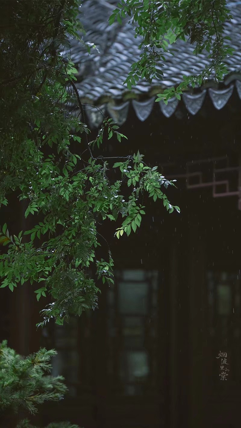 清明时节雨纷纷
图:烟波里的棠