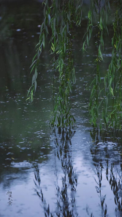 清明时节雨纷纷
图:烟波里的棠