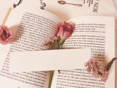 情书。图源空间群医（q3161310045）拿图点赞/收藏 