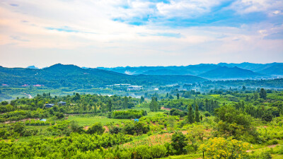 山川云野