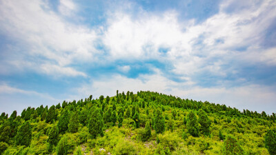 山川云野