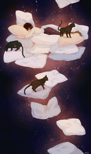 在流年里忘记花开